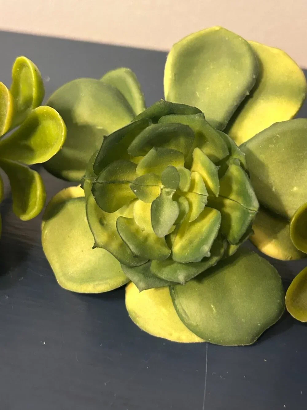 Bundle of Faux Succulents